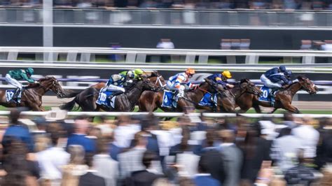 Expert tips: Melbourne Cup roughie and trifecta from Laurie .
